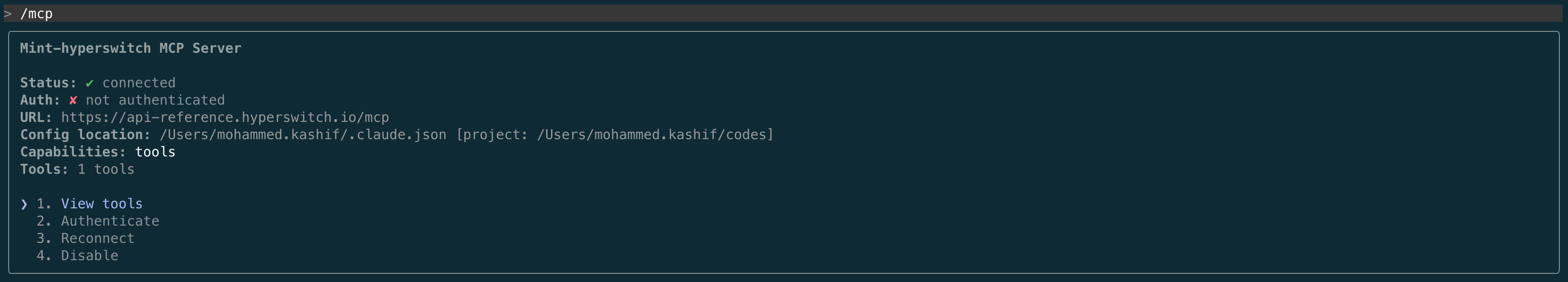 Verifying the MCP server